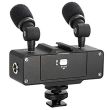 SISTEMA DE MICROFONIA COM 02 MICROFONES EM ESTEREO